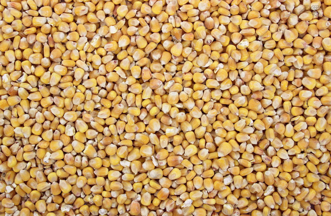 Mais Franse Heel 20 kg