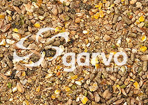 Garvo Alfastart piepkuikens 12,5 kg